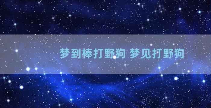 梦到棒打野狗 梦见打野狗